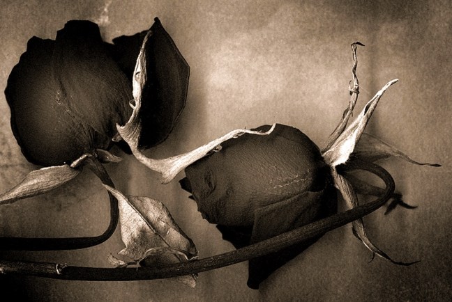 98751CFB-2350-403B-9EEA-D4E7692E215E