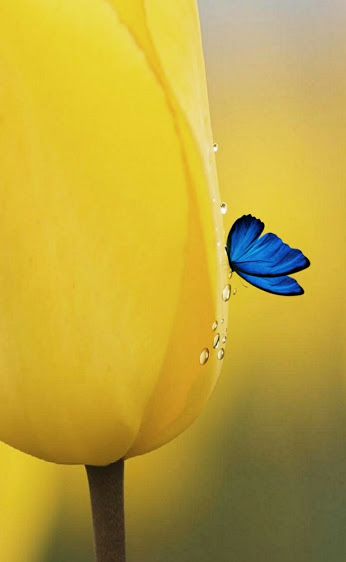 FF97262D-DE3F-4365-8B9A-61657F38185E