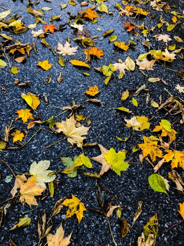 90AC9C33-FCC5-4DCC-9D75-EFAC2FFE784D