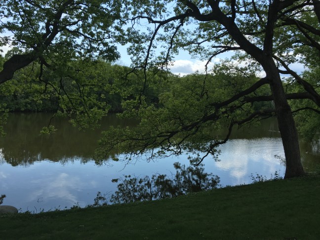 7E22A698-5B28-40B8-A91E-61710DC32F94