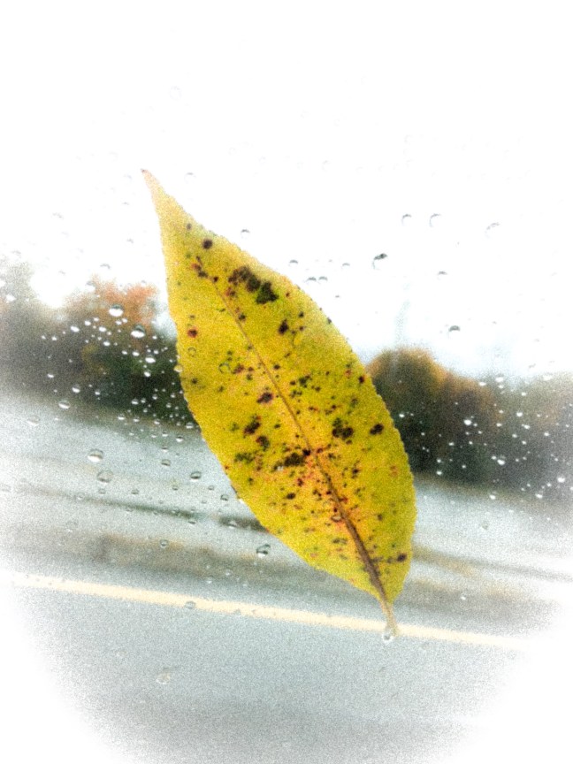 C5FC4F91-67E5-4568-82C7-FA969A837CFC