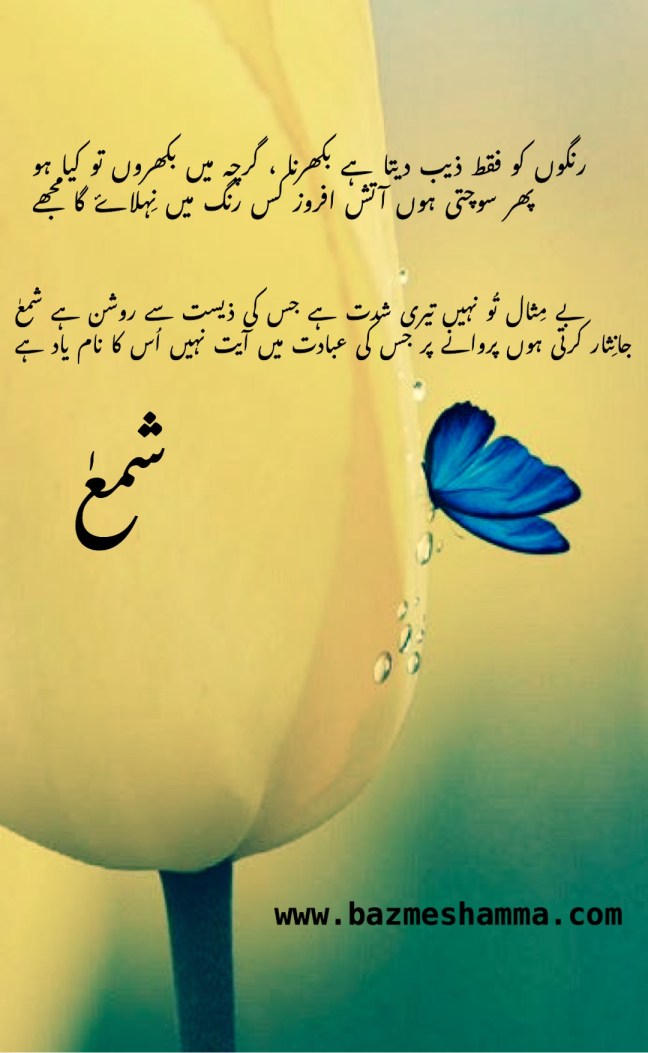 A6957429-925D-48B7-9528-1FE3924766A8